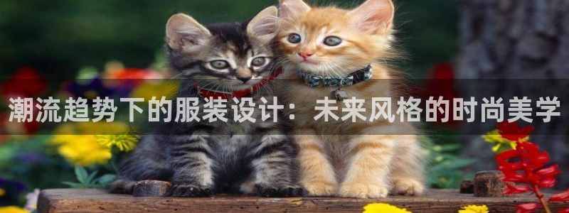 开丰娱乐