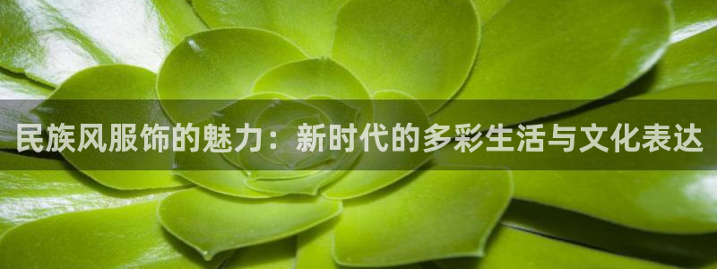 开丰娱乐怎么开转点