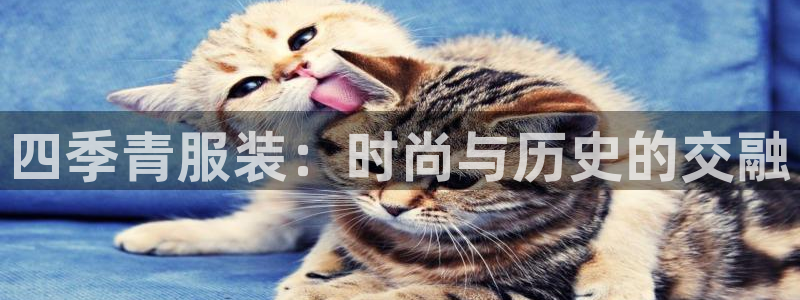 开丰娱乐app