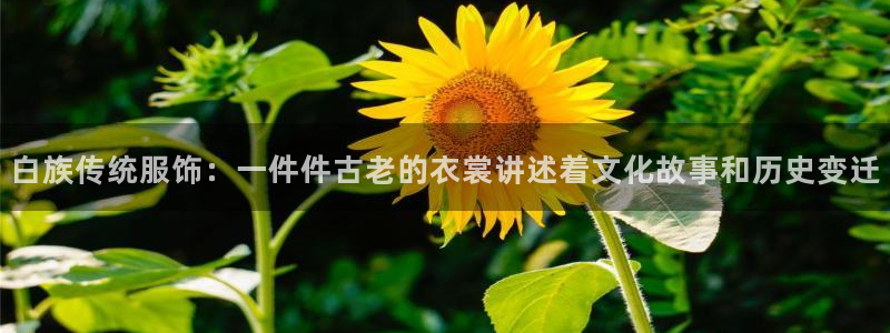开丰娱乐不开了吗