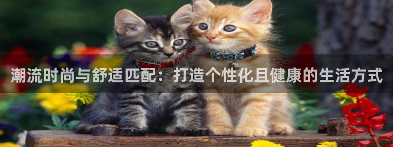 开丰娱乐平台官网网址