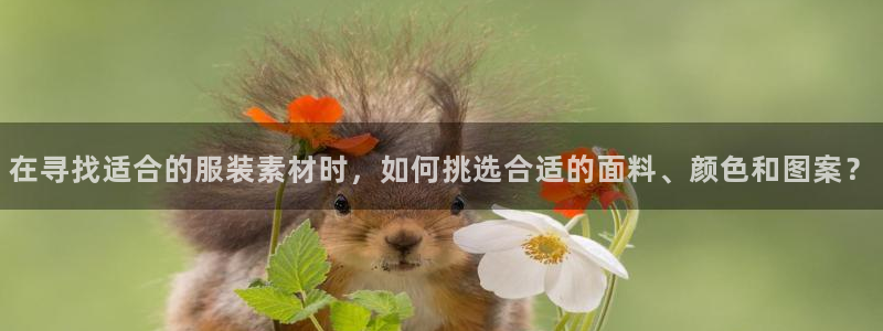 开丰娱乐天7O667