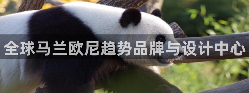 开丰娱乐登入地址在哪儿