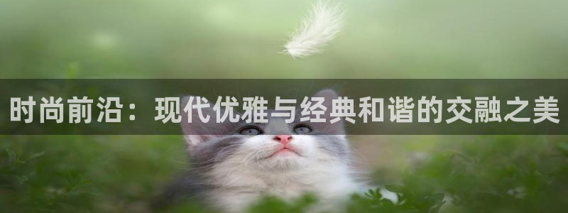 开丰娱乐 赢咖一