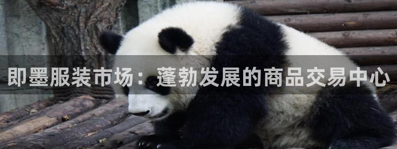 开丰娱乐网站官网下载