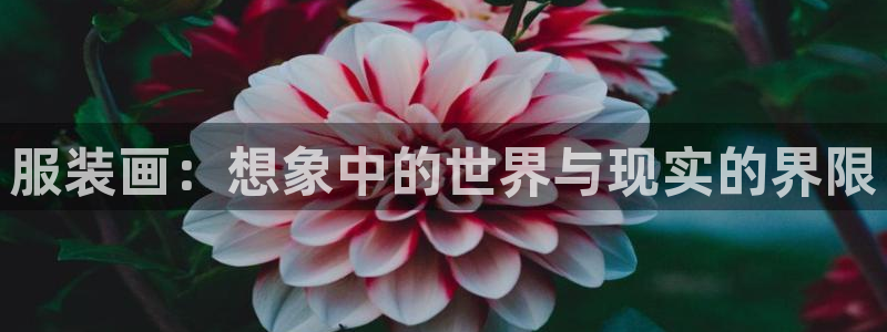 开丰娱乐官网平台下载