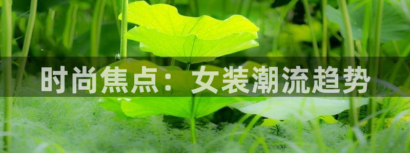开丰娱乐67 5138