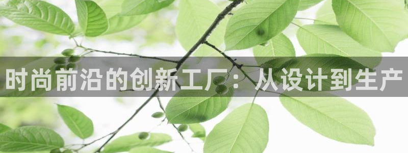 开丰娱乐平台官网网址