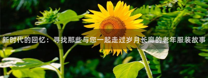 开丰娱乐登入
