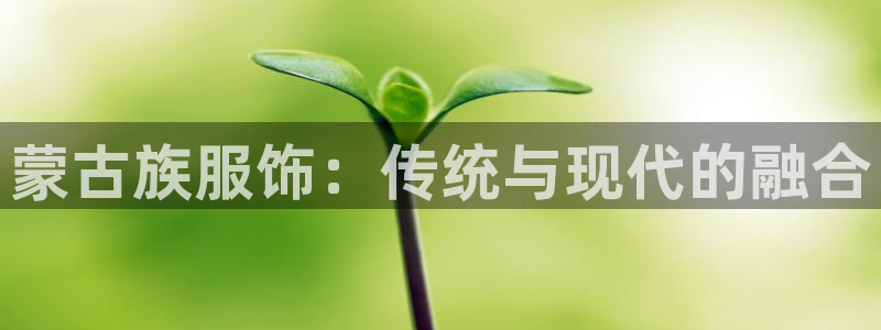 开丰娱乐登陆
