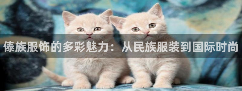 开丰娱乐上