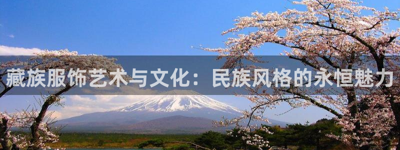 开丰娱乐官网