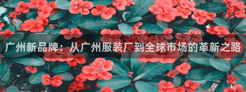 开丰娱乐天富娱乐：广州新品牌：从广州服装