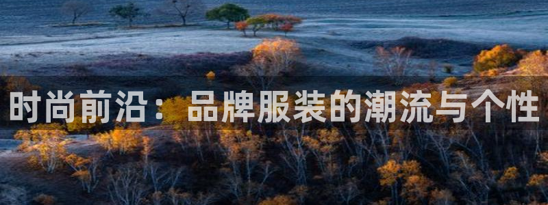 开丰娱乐官网平台网址