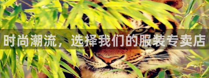 开丰娱乐趣 7O935